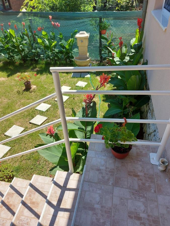 Fenix Apartment & Rooms Vinci Екстериор снимка
