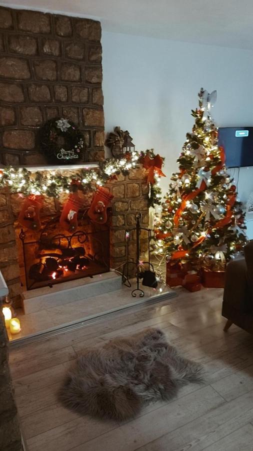 Fenix Apartment & Rooms Vinci Екстериор снимка